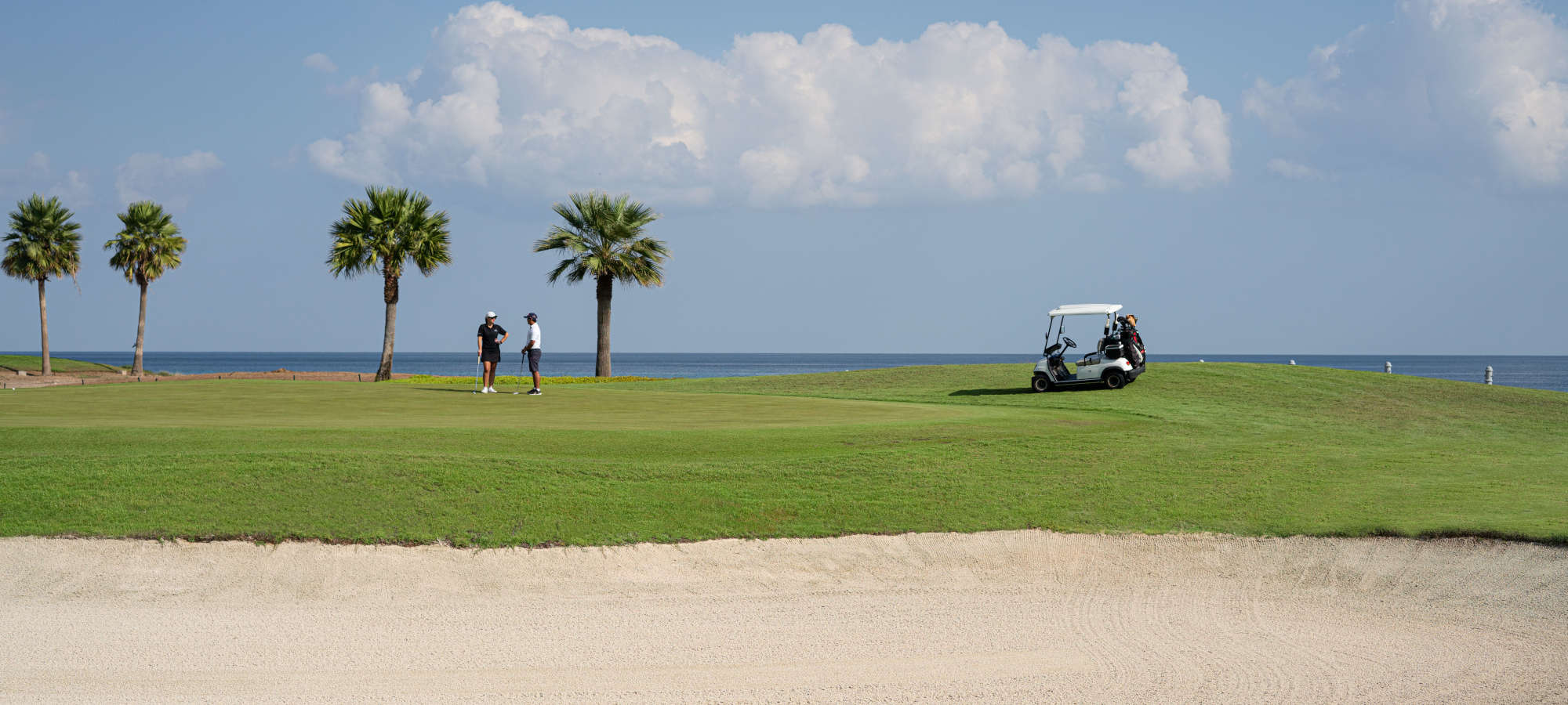 A Landscape for the Golf Course, Ocean and Sky